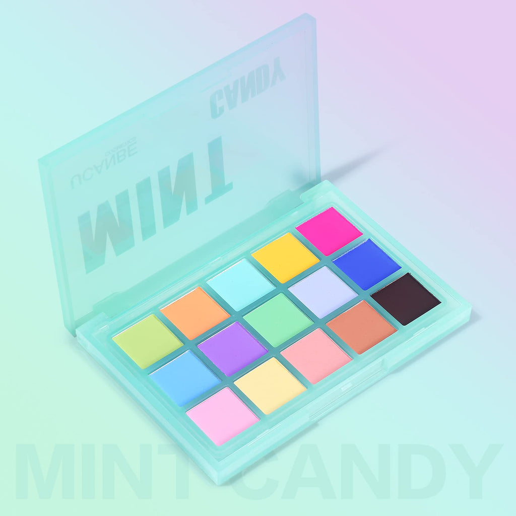 Colorful Matte 15 Shades Eyeshadow Palette L12304