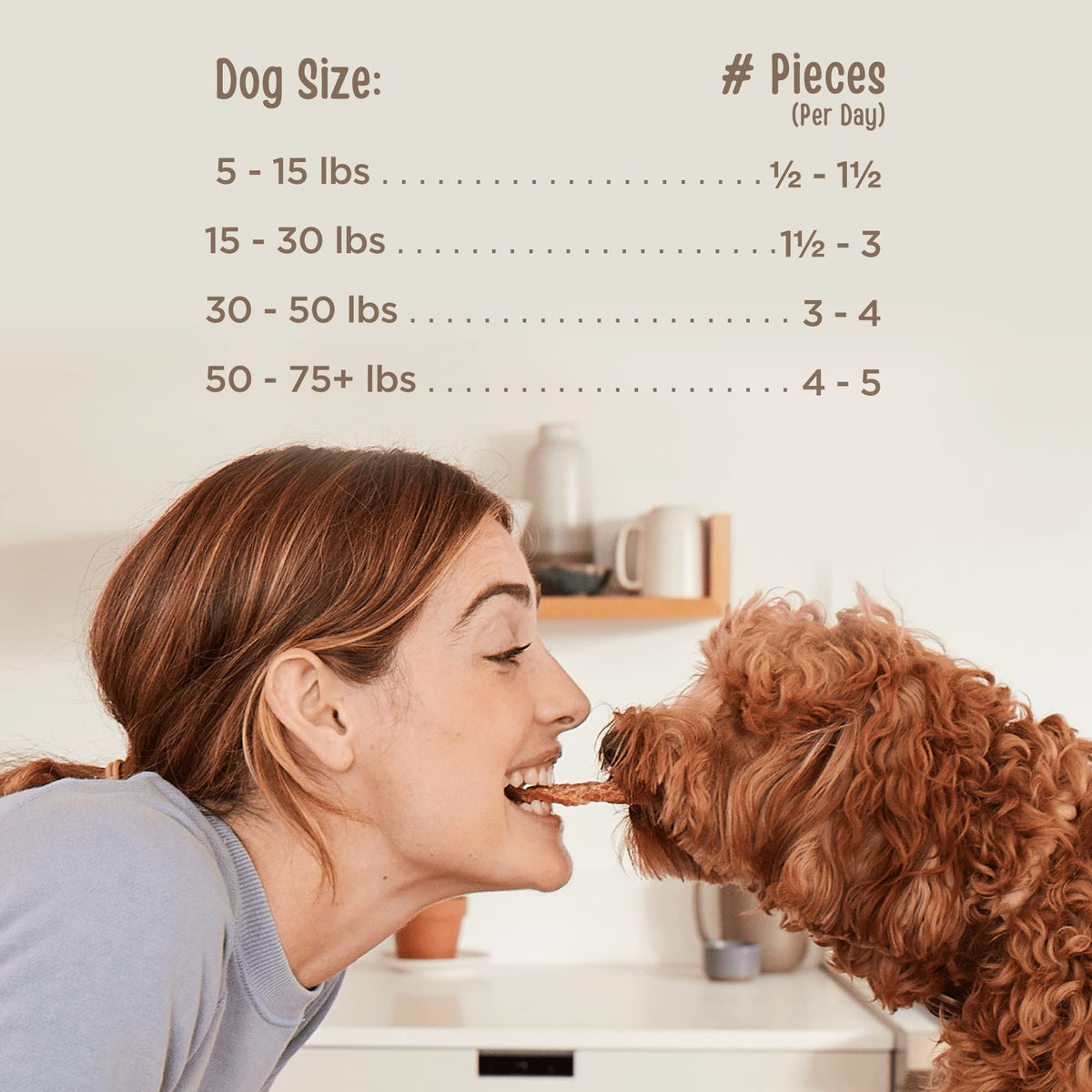 Chicken Jerky Dog Treat 24 Ounce V259275