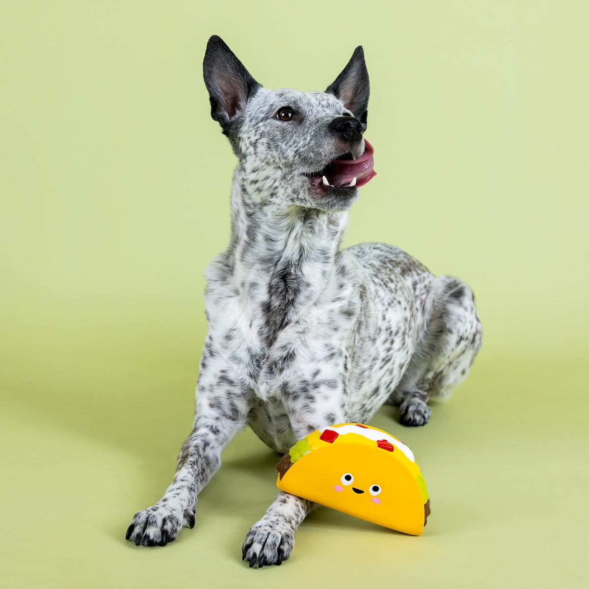 Latex Dog Toy X727