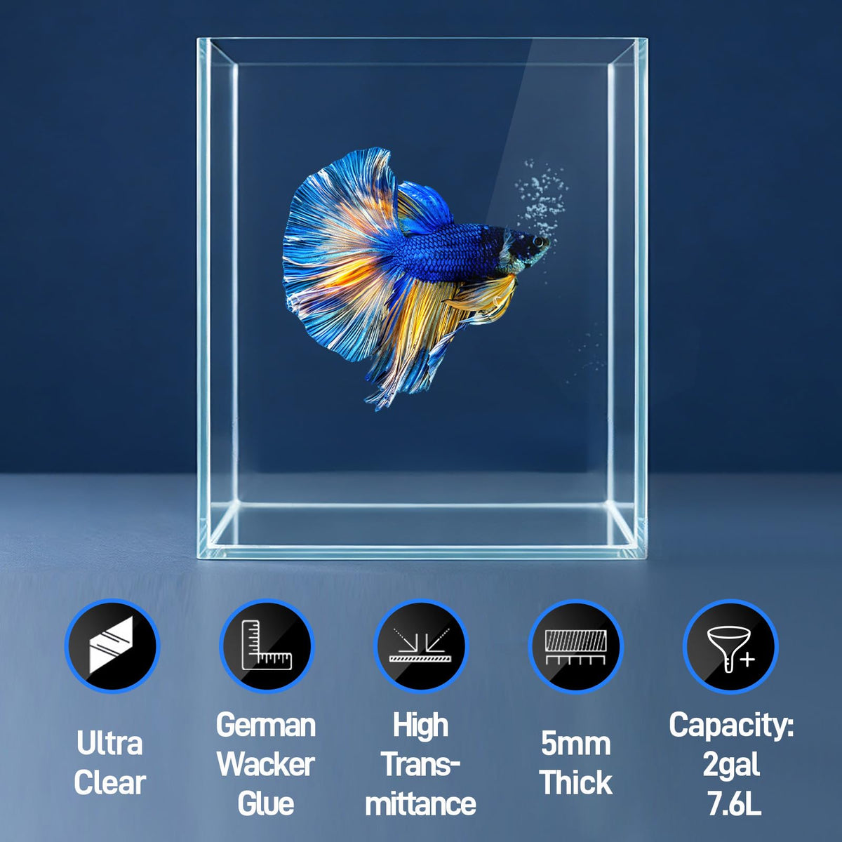 2 Gallon Glass Fish Tank Starter Kit with Fish Net E123