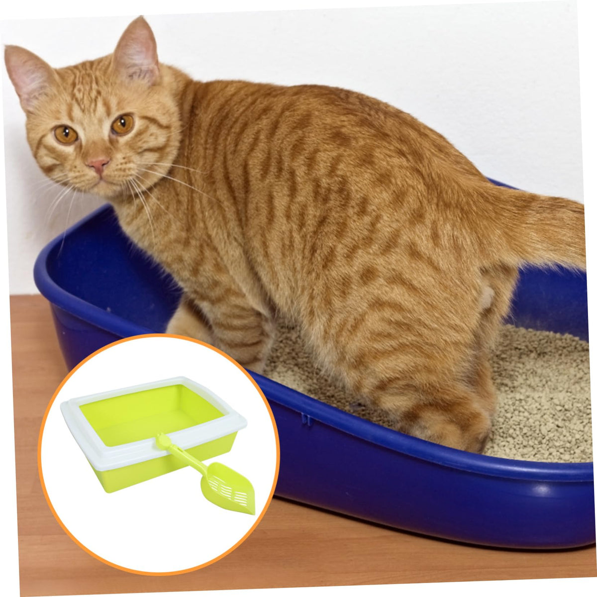 Sifting Cat Litter Box with Frame V2199
