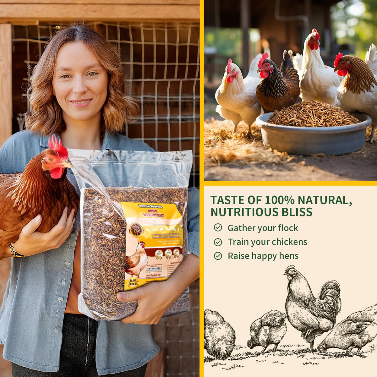 20LB Dried Mealworms N58136