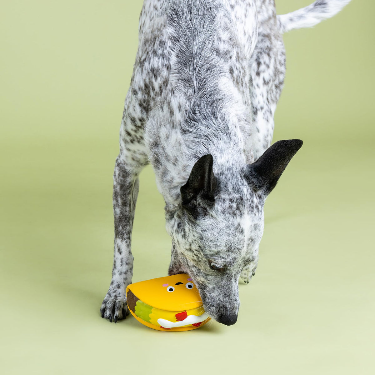 Latex Dog Toy X727