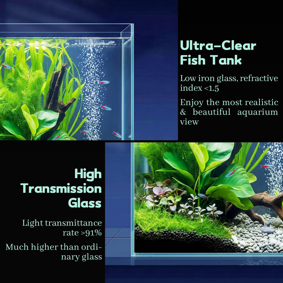 2 Gallon Glass Fish Tank Starter Kit with Fish Net E123