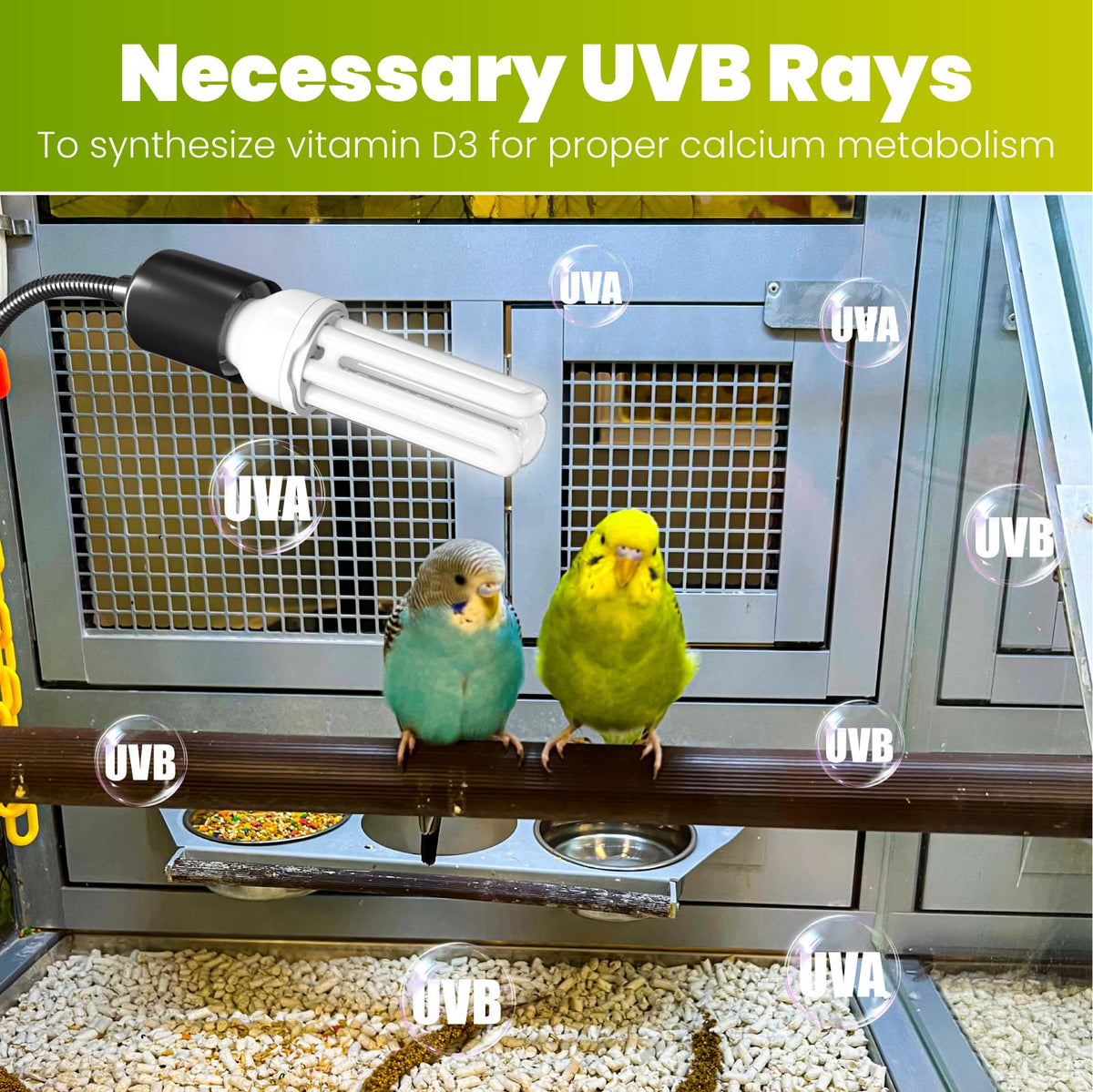 Bird Cage Lighting Combo Kit, Clip Lamp with UVB 2.4 20W Compact Fluorescent Bulb H827