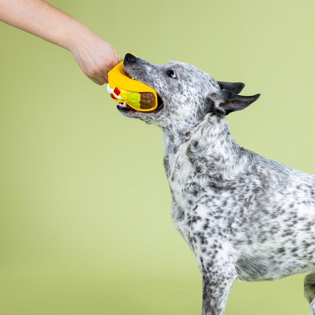 Latex Dog Toy X727