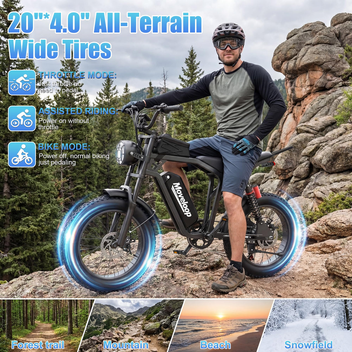 20" Fat Tire Electric Bike 48V W121